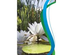 Pflanzanleitung Titelbild